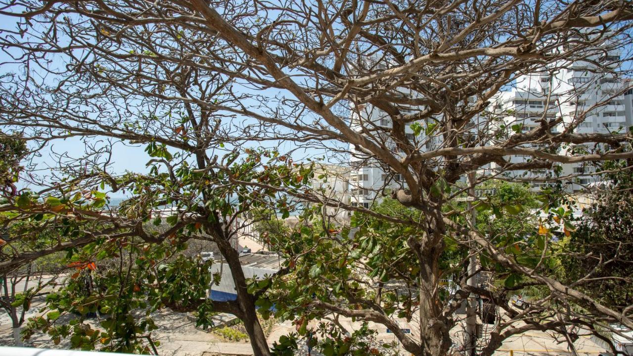 Hollywood Beach Suite Cartagène Extérieur photo